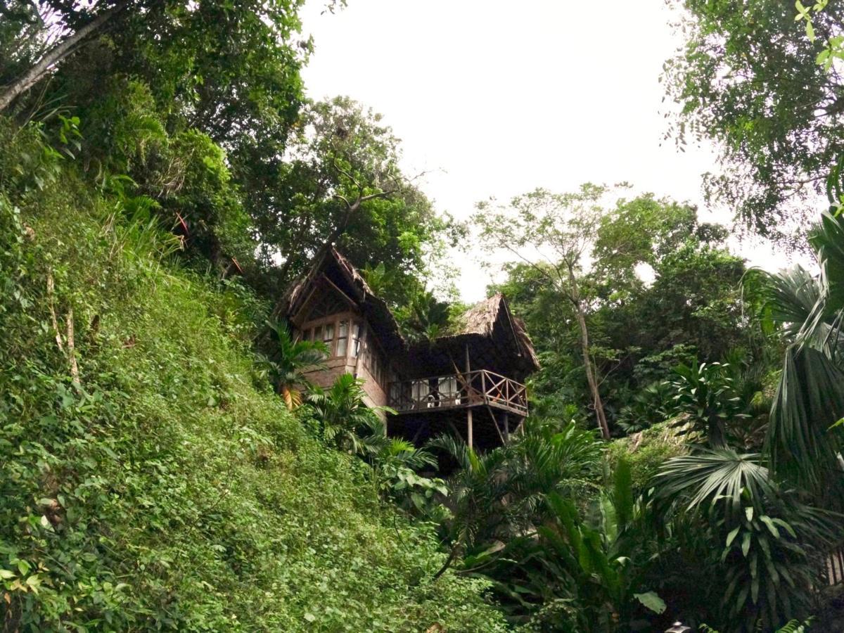 Ecohostal Rio Piedra エル・ザイノ エクステリア 写真