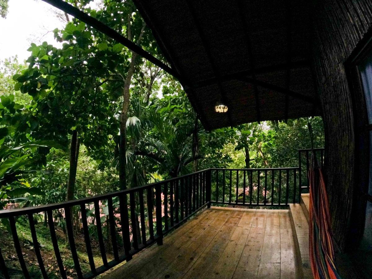 Ecohostal Rio Piedra エル・ザイノ エクステリア 写真