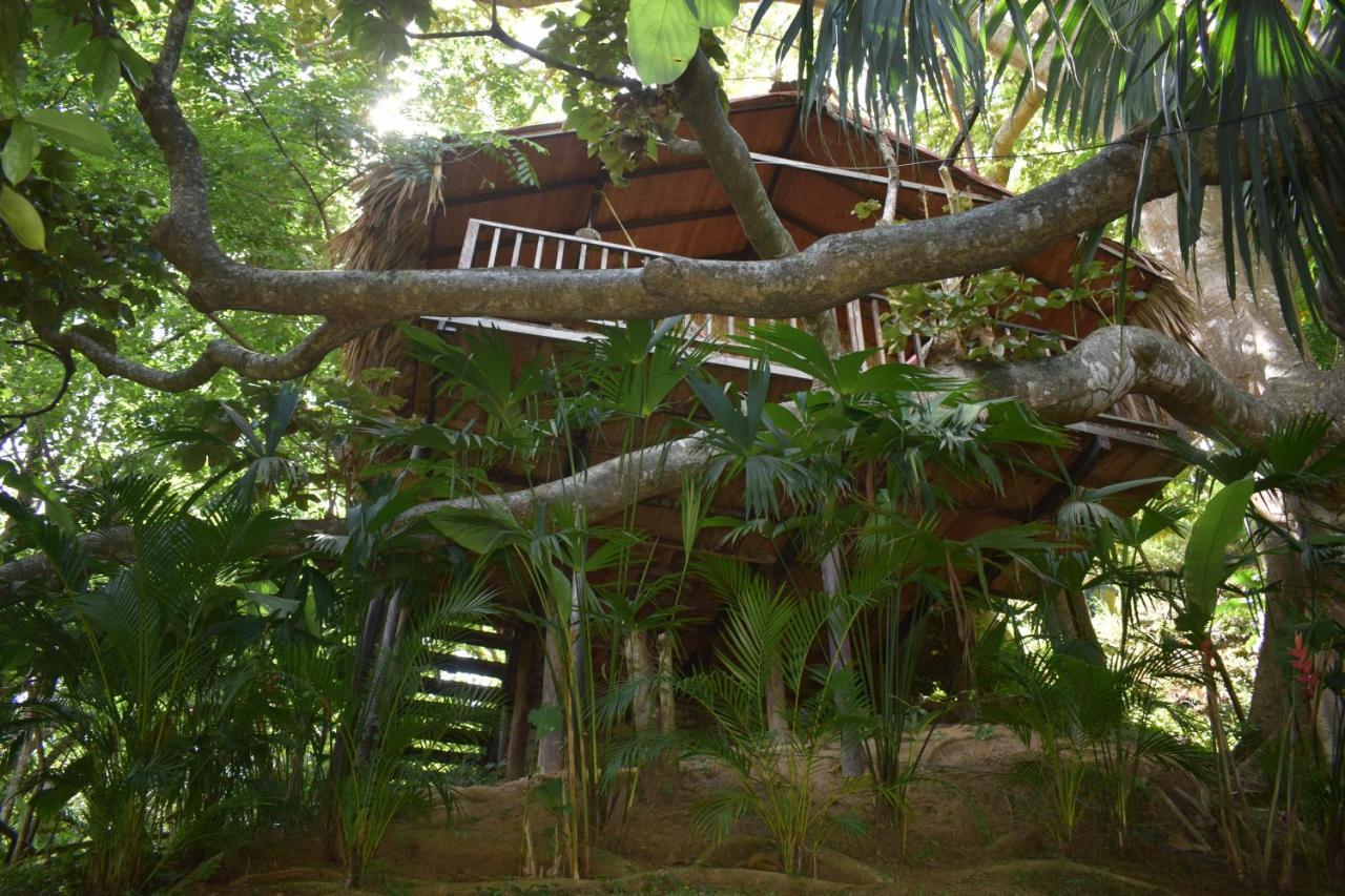 Ecohostal Rio Piedra エル・ザイノ エクステリア 写真