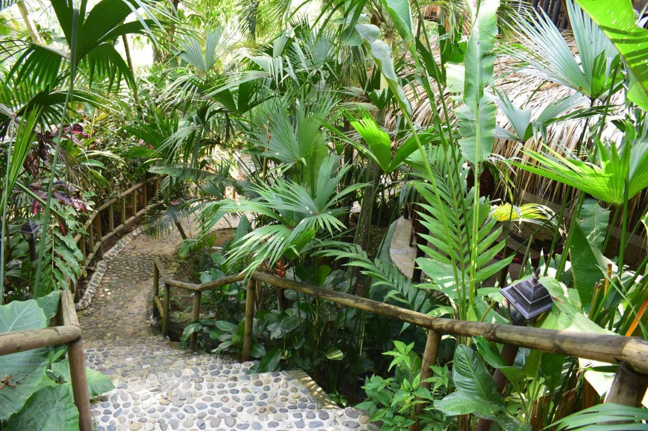 Ecohostal Rio Piedra エル・ザイノ エクステリア 写真