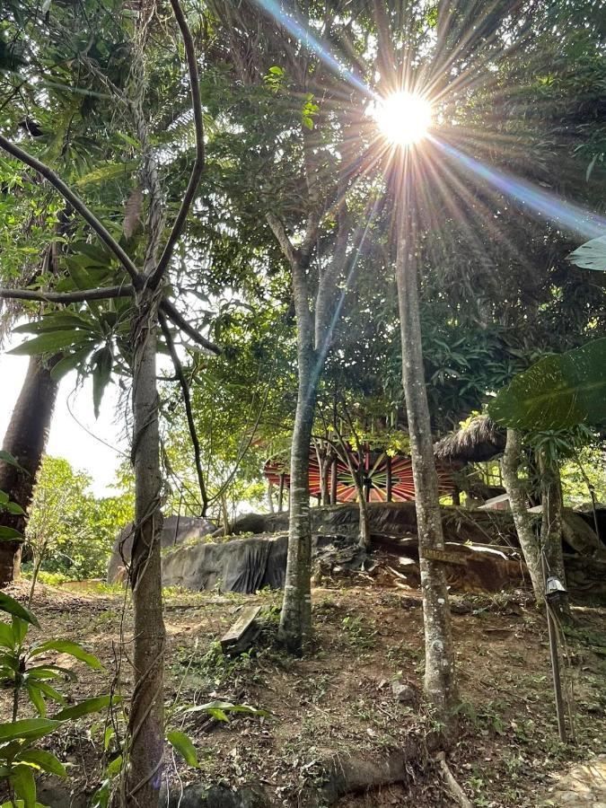 Ecohostal Rio Piedra エル・ザイノ エクステリア 写真