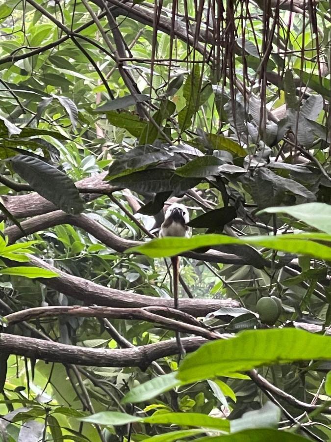 Ecohostal Rio Piedra エル・ザイノ エクステリア 写真