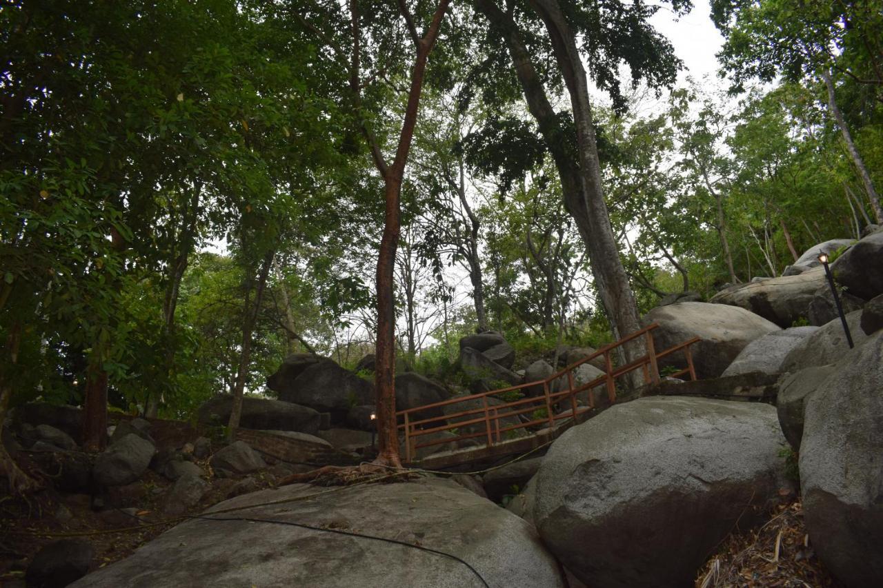 Ecohostal Rio Piedra エル・ザイノ エクステリア 写真
